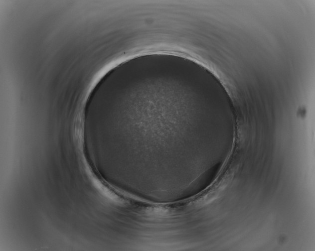 X0000101711515200807241444