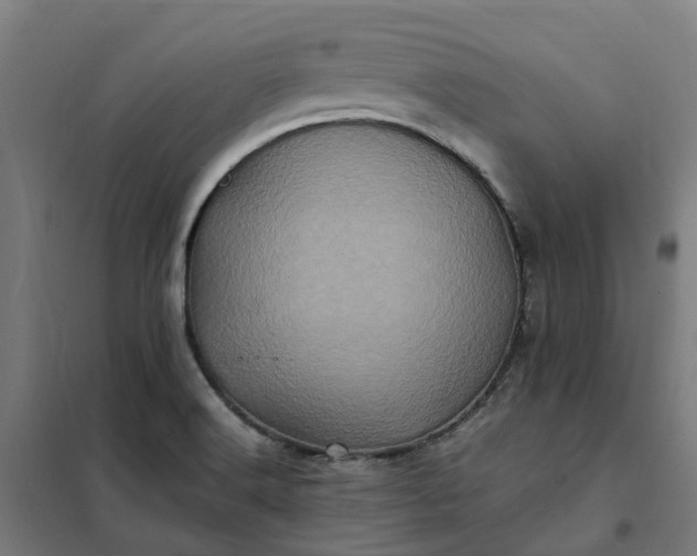 X0000101711516200807241444