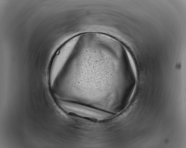 X0000101711517200807241444