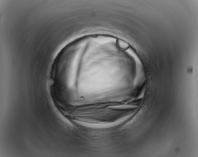 X0000101711518200807241444