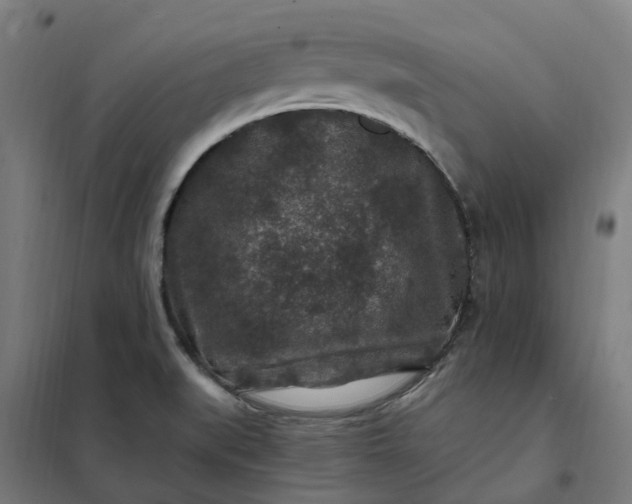 X0000101711519200807241444