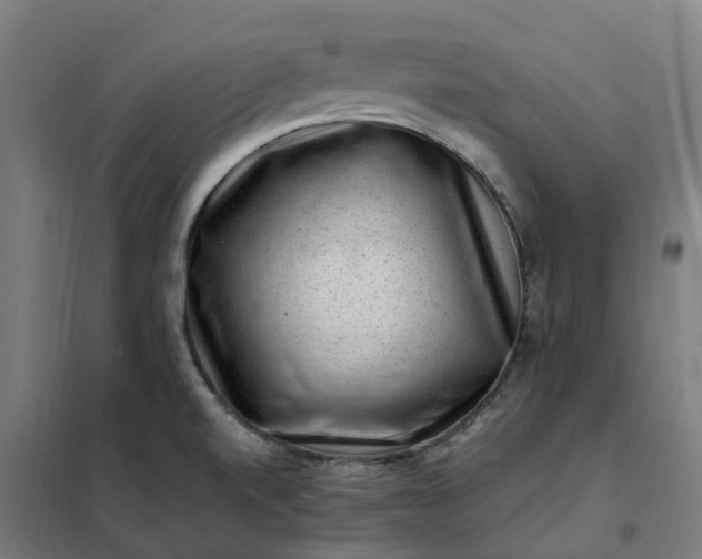 X0000101711520200807241444