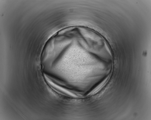 X0000101711521200807241444