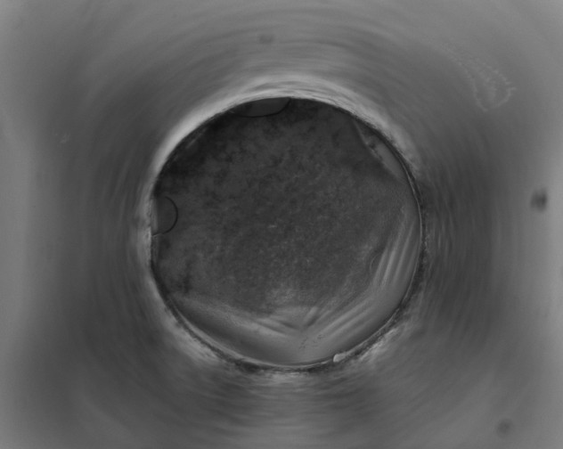 X0000101711522200807241444