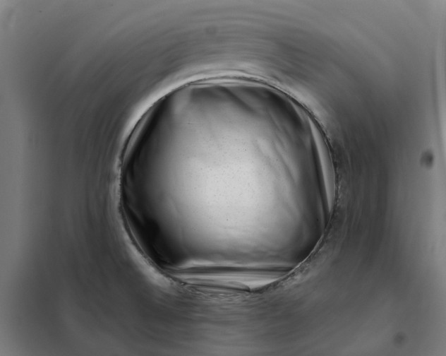 X0000101711524200807241444