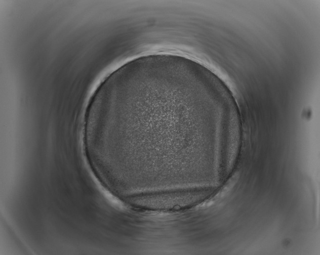 X0000101711525200807241444