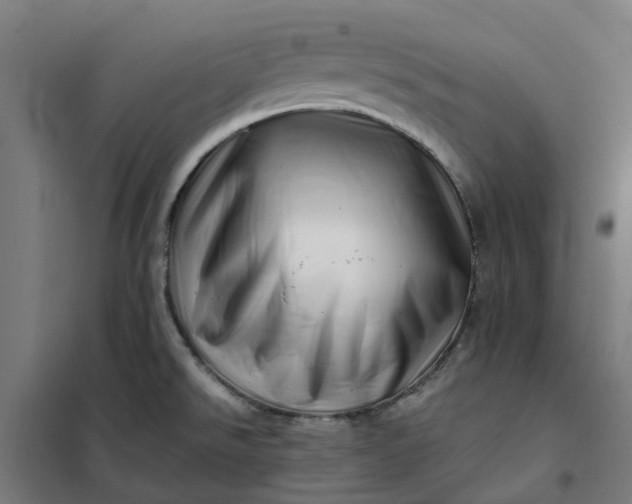 X0000101711526200807241444