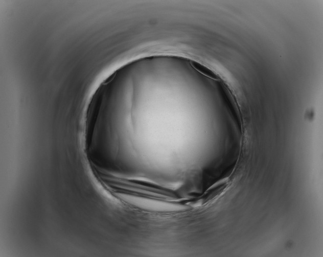 X0000101711528200807241444