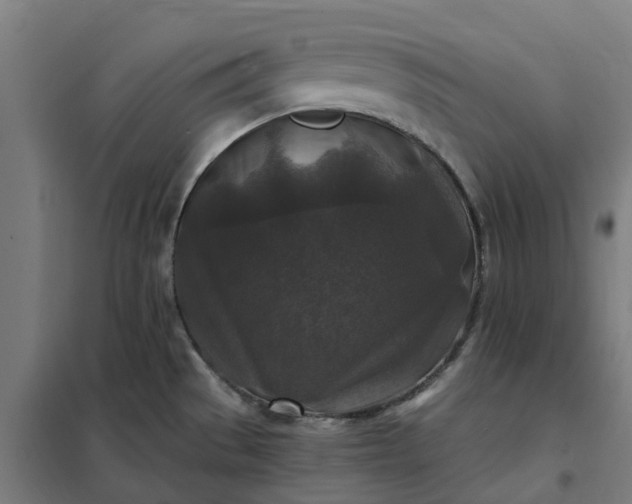 X0000101711529200807241444