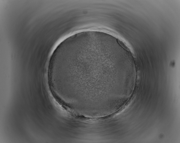 X0000101711530200807241444