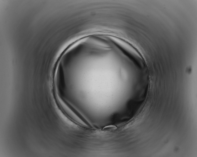 X0000101711531200807241444