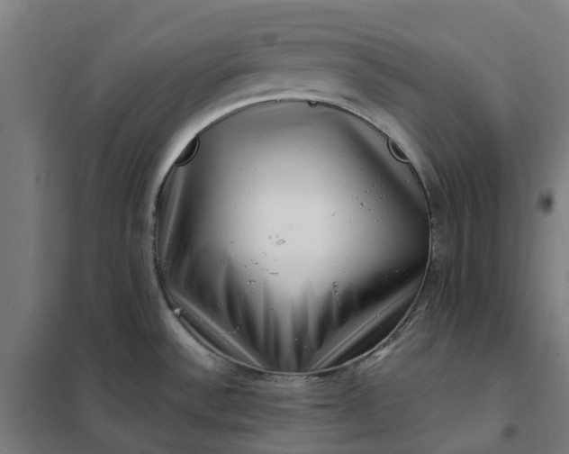 X0000101711532200807241444