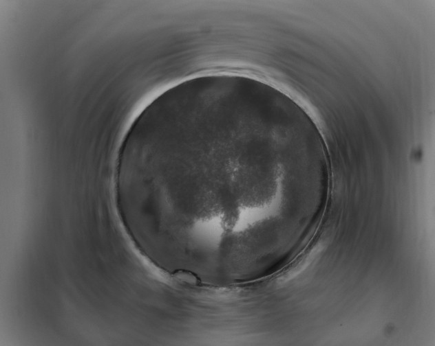 X0000101711533200807241444