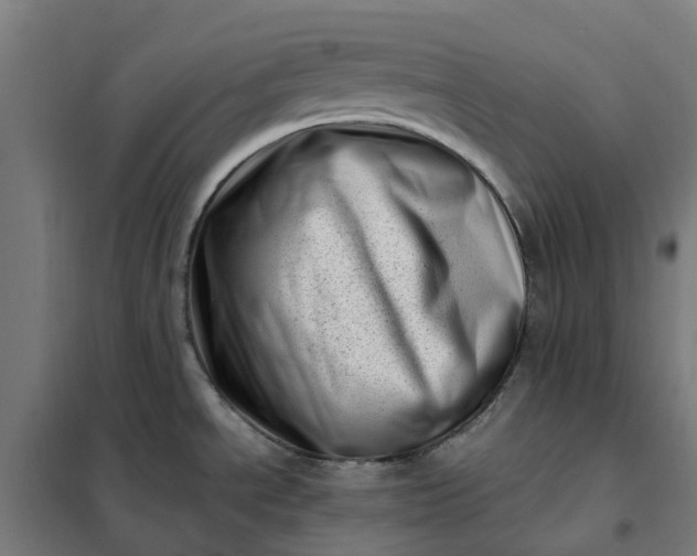 X0000101711534200807241444