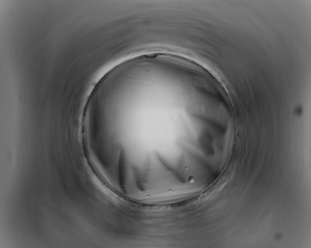 X0000101711535200807241444