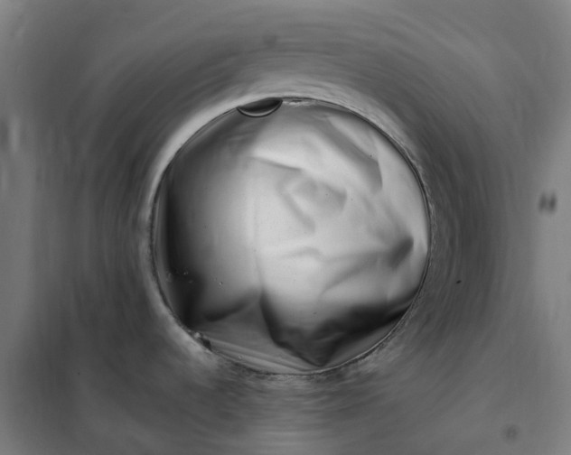 X0000101711536200807241444