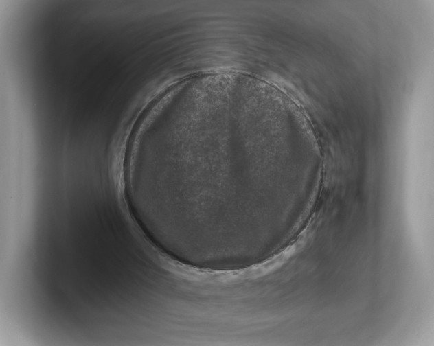 X0000101710002200807311501