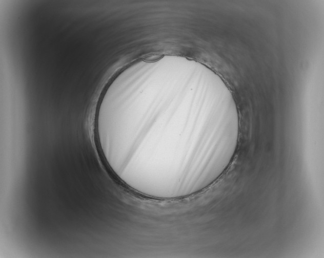 X0000101710003200807311501