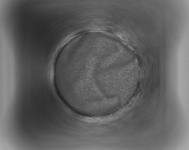 X0000101710005200807311501