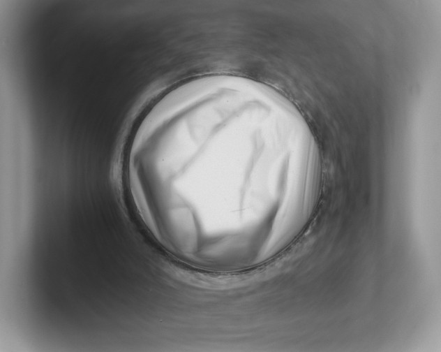 X0000101710006200807311501
