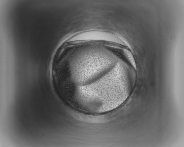 X0000101710008200807311501
