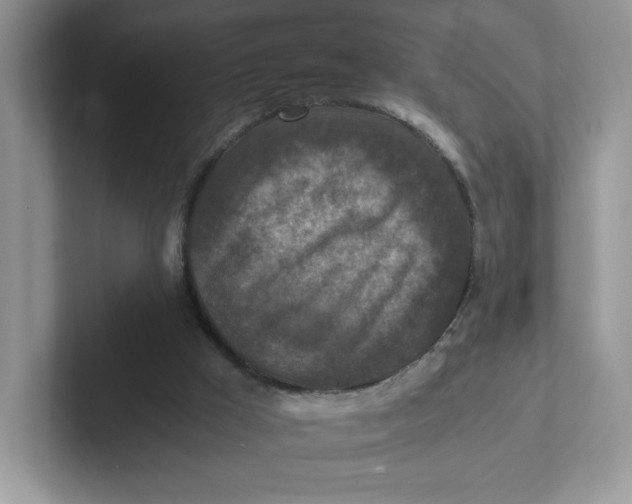 X0000101710009200807311501