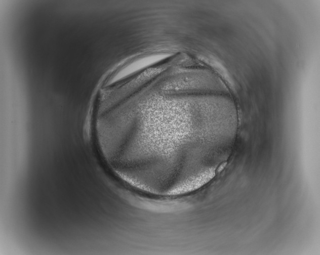 X0000101710012200807311501