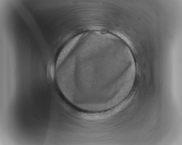 X0000101710013200807311501