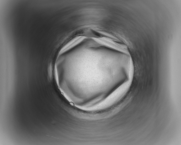 X0000101710014200807311501