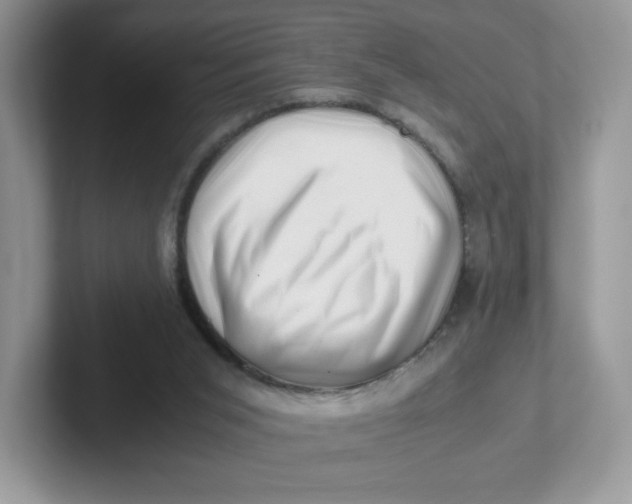 X0000101710015200807311501
