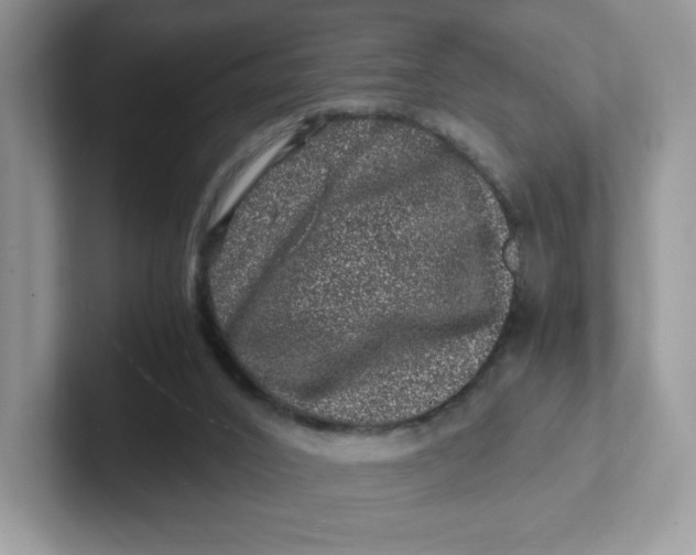 X0000101710016200807311501