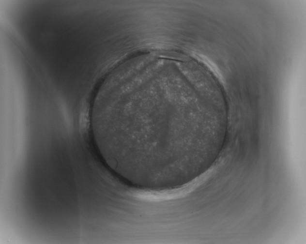 X0000101710017200807311501