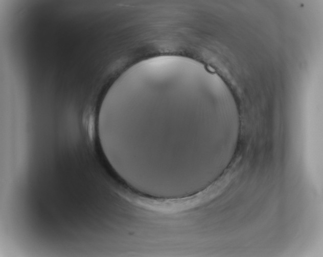 X0000101710019200807311501