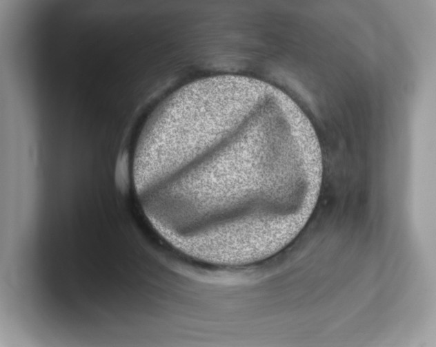 X0000101710020200807311501