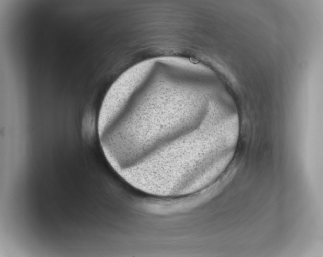 X0000101710021200807311501