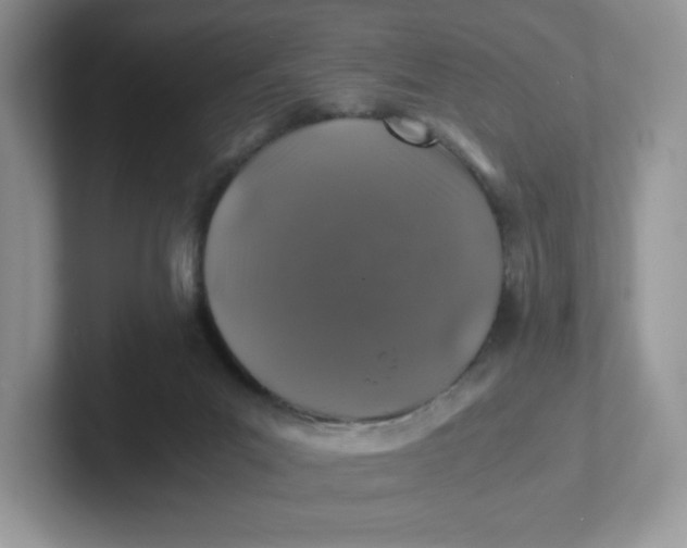 X0000101710023200807311501