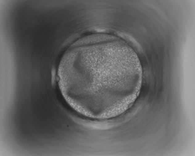 X0000101710024200807311501