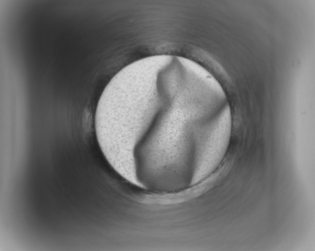 X0000101710025200807311501