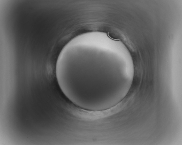 X0000101710031200807311501