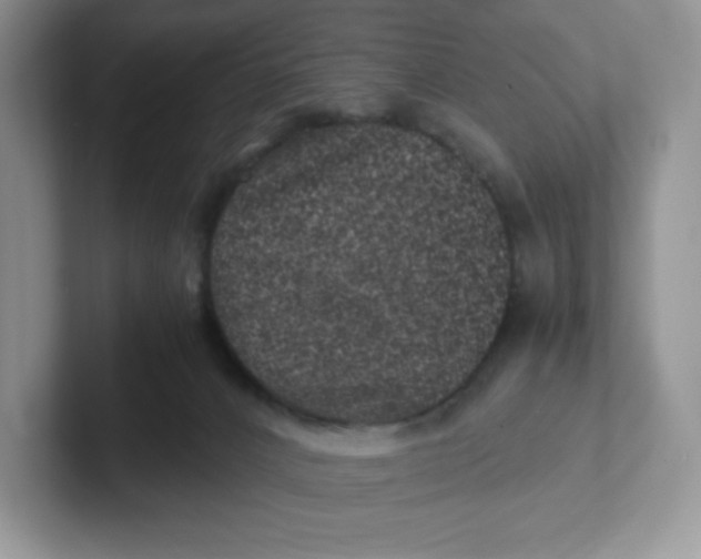 X0000101710032200807311501