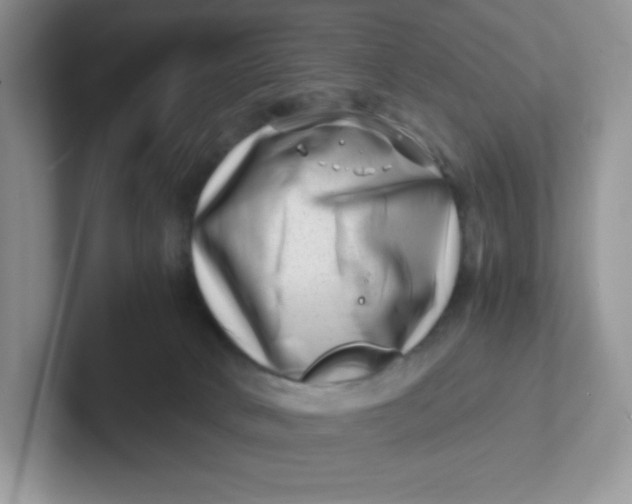 X0000101710034200807311501