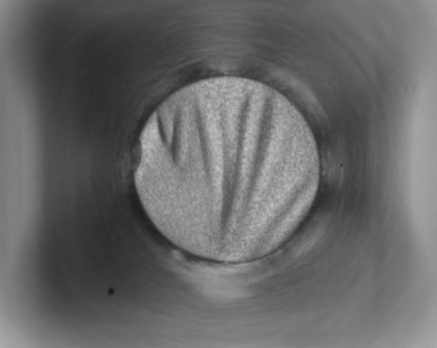 X0000101710036200807311501