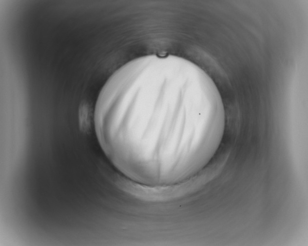 X0000101710038200807311500