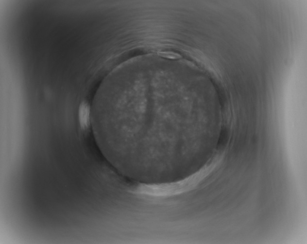 X0000101710041200807311500