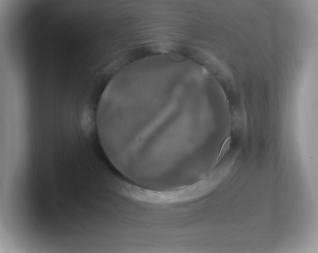 X0000101710043200807311500