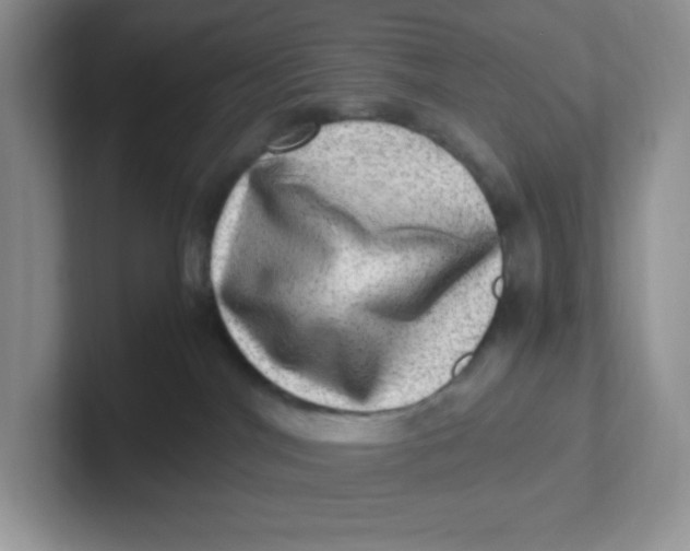 X0000101710044200807311500