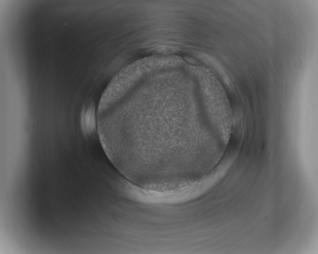 X0000101710046200807311500