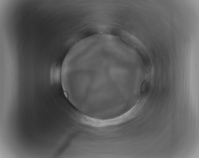 X0000101710047200807311500