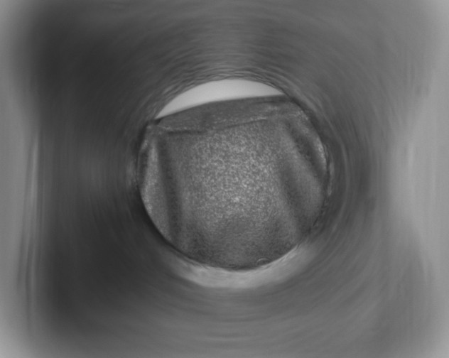 X0000101710048200807311500