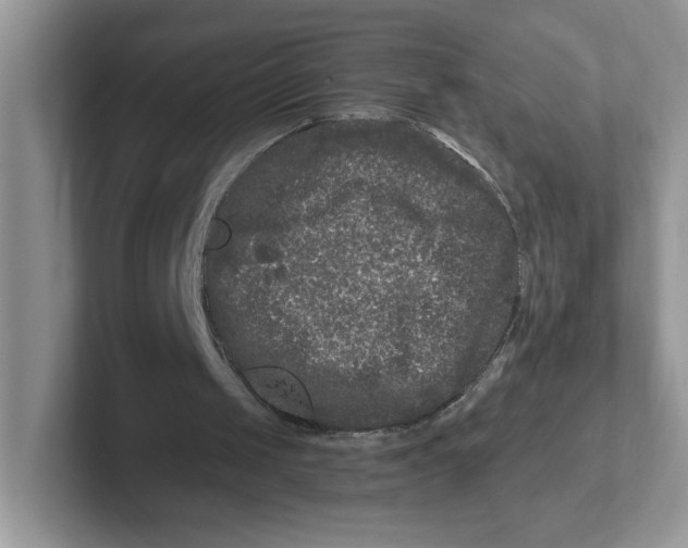 X0000101710049200807311500